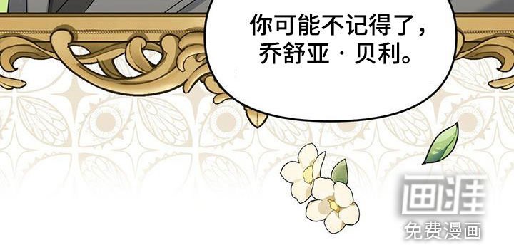 第130章：【番外】调查结果