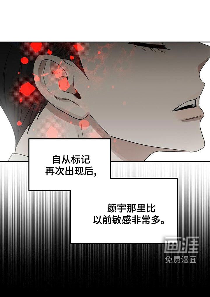 第147章：【番外】同样珍贵