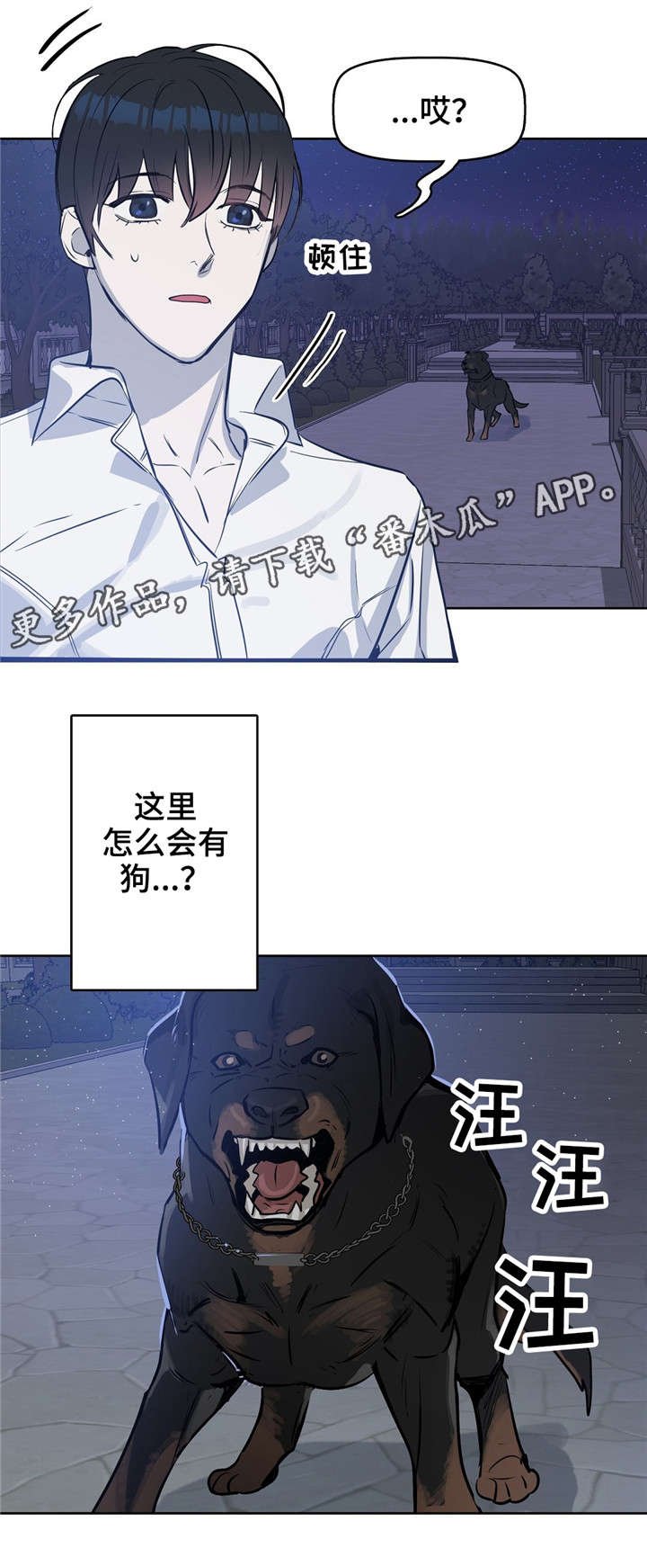 第17章：狗