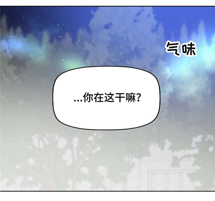 第17章：狗