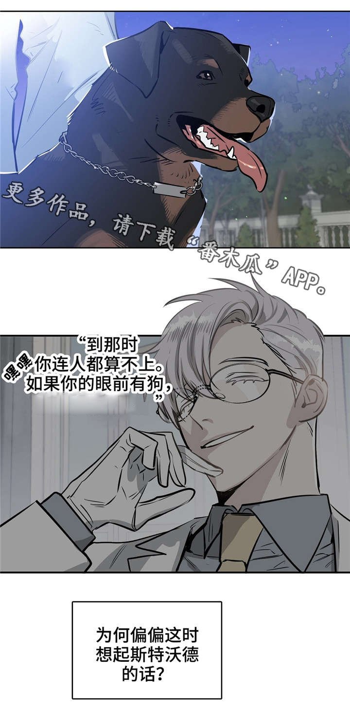 第17章：狗