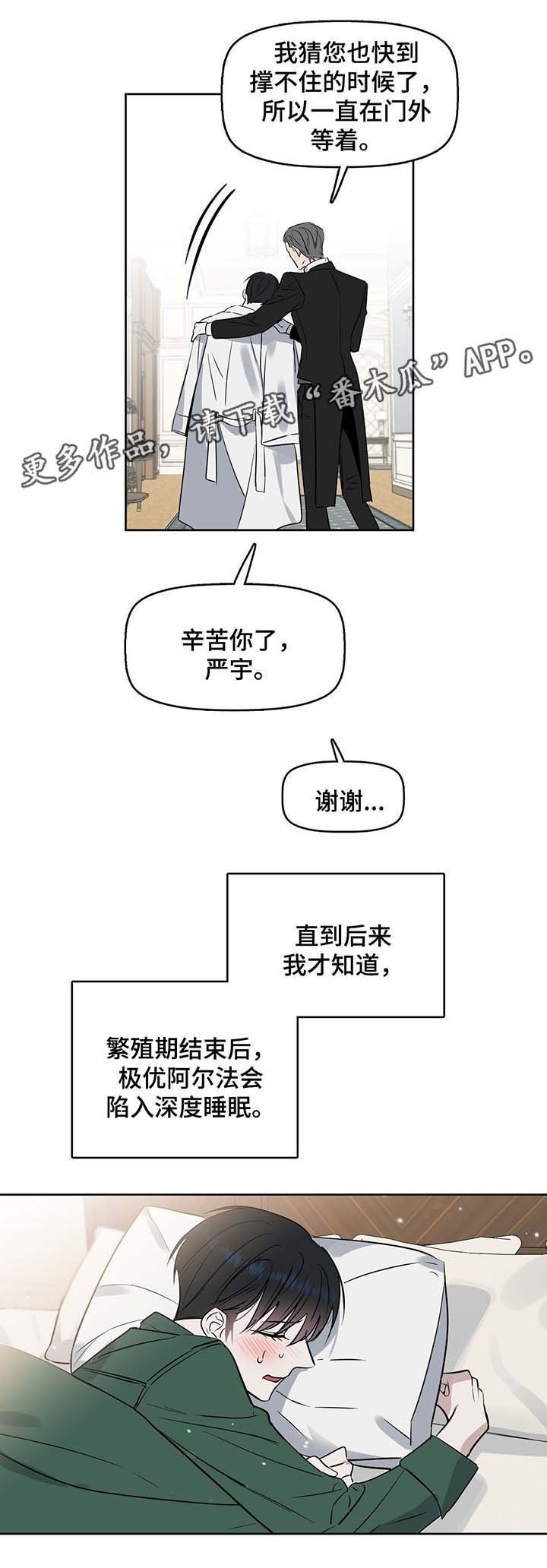 第32章：记忆断片