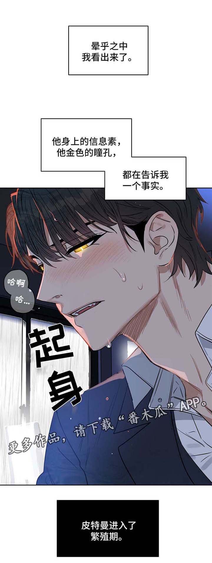 第47章：不正常的反应
