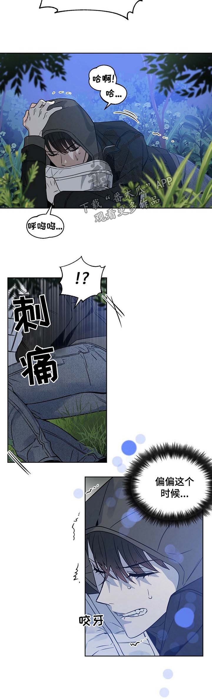 第62章：高额悬赏