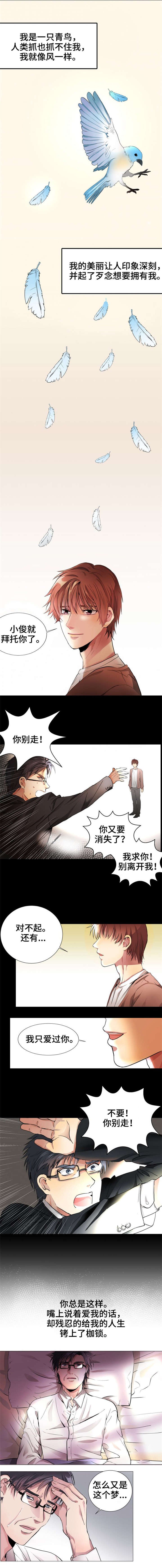 第1章：青鸟