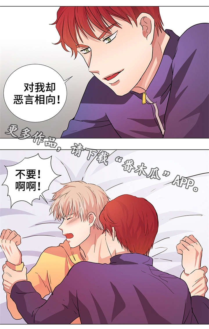第19章：幻象