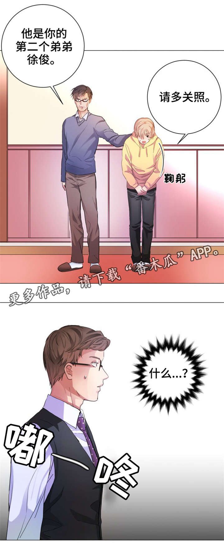 第4章：介绍