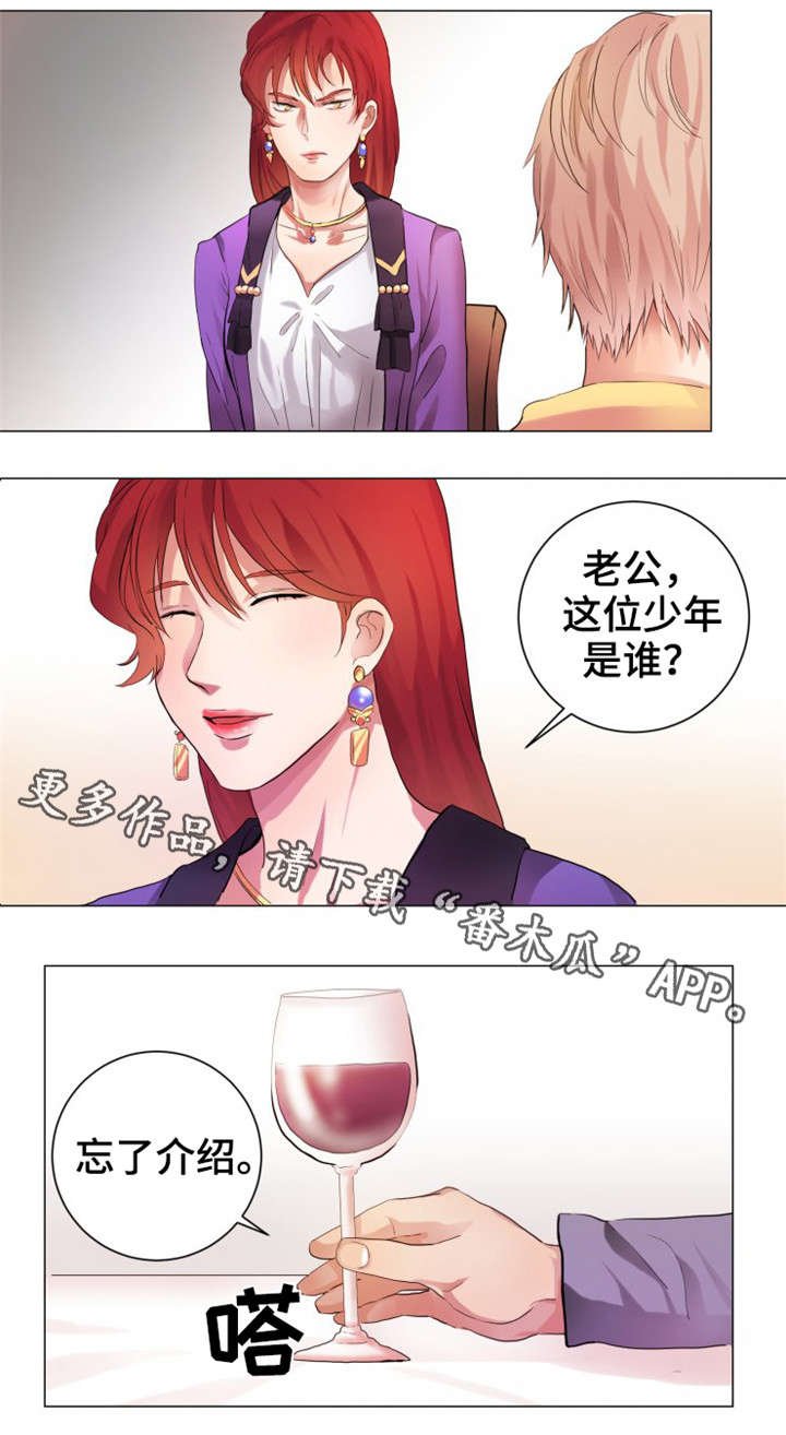 第4章：介绍
