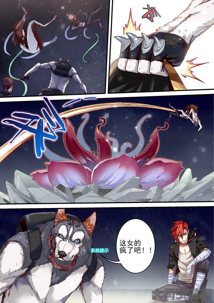 第49章：系统提示