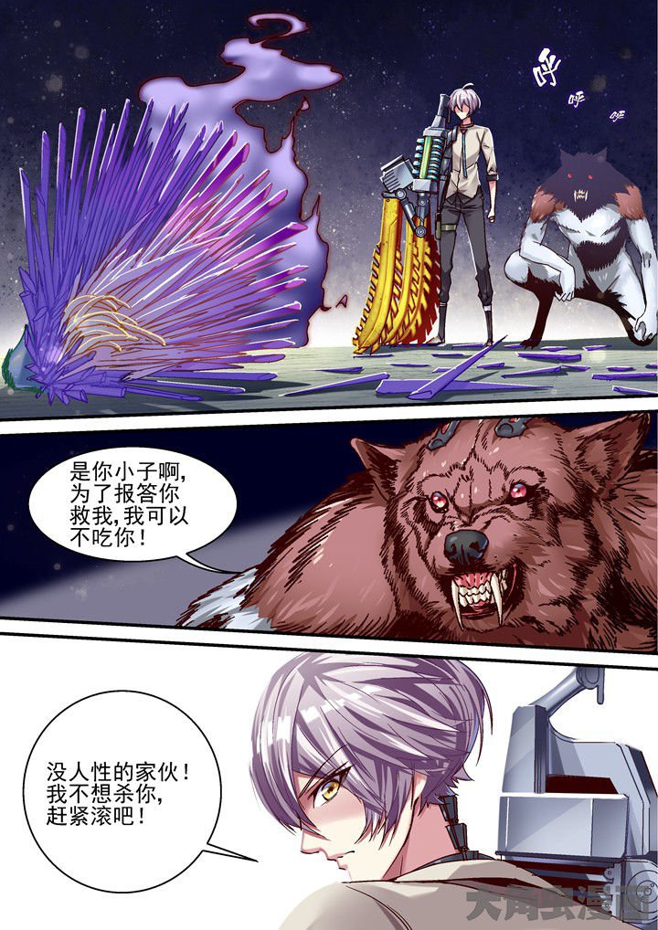 第52章：停战