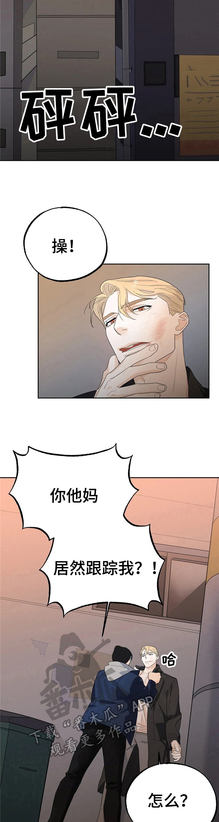 第12章：决定