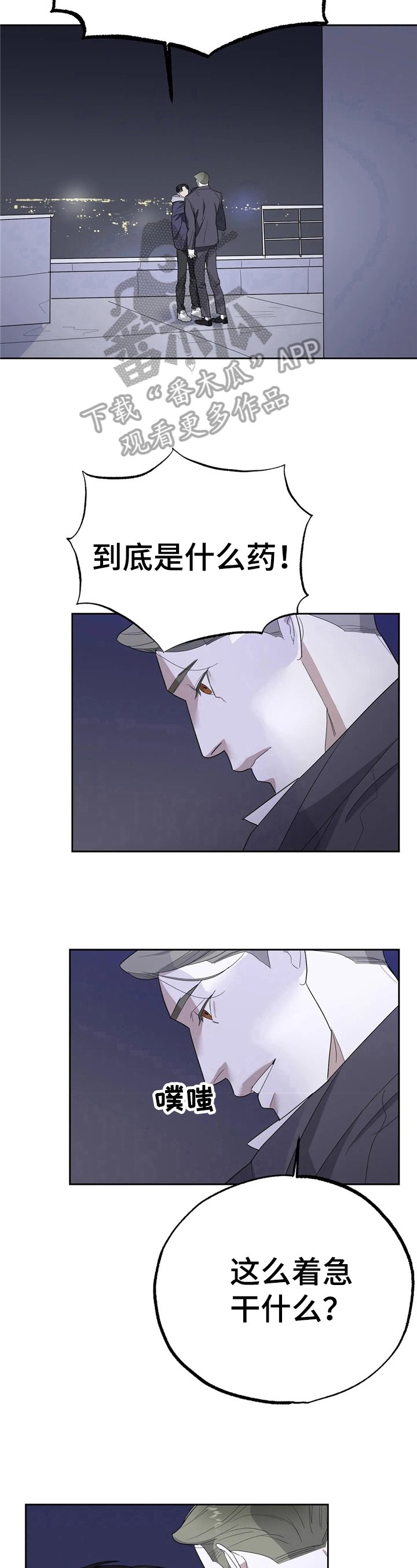 第13章：质问