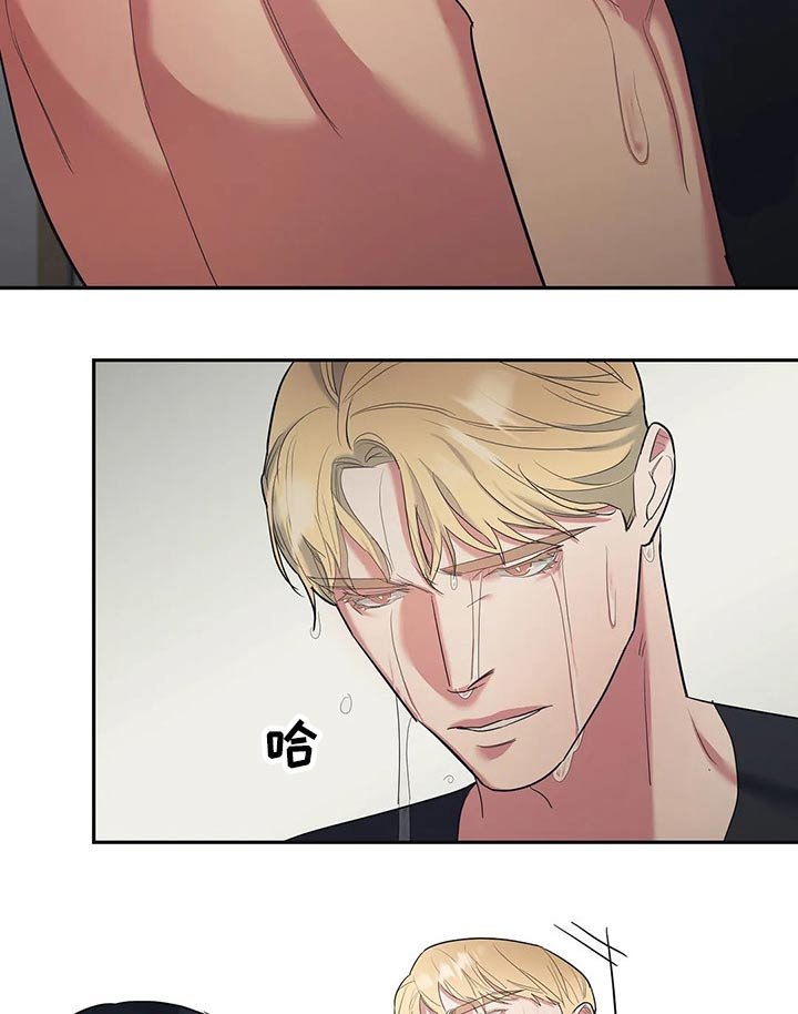 第37章：尝试
