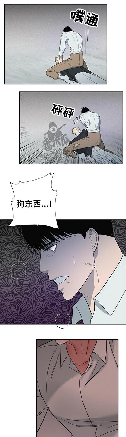 第47章：第七养子【完结】