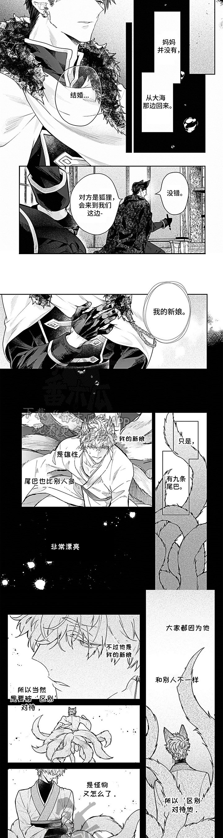 第14章：出海