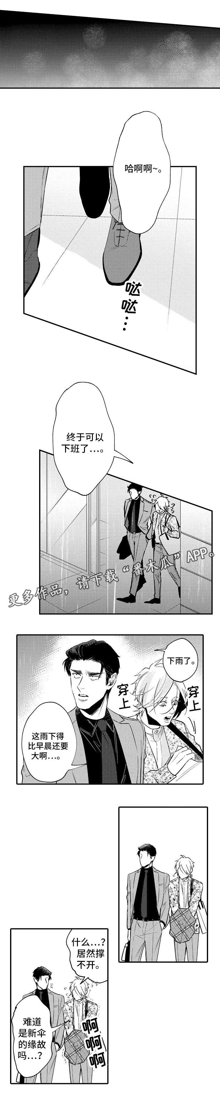 第17章：自信