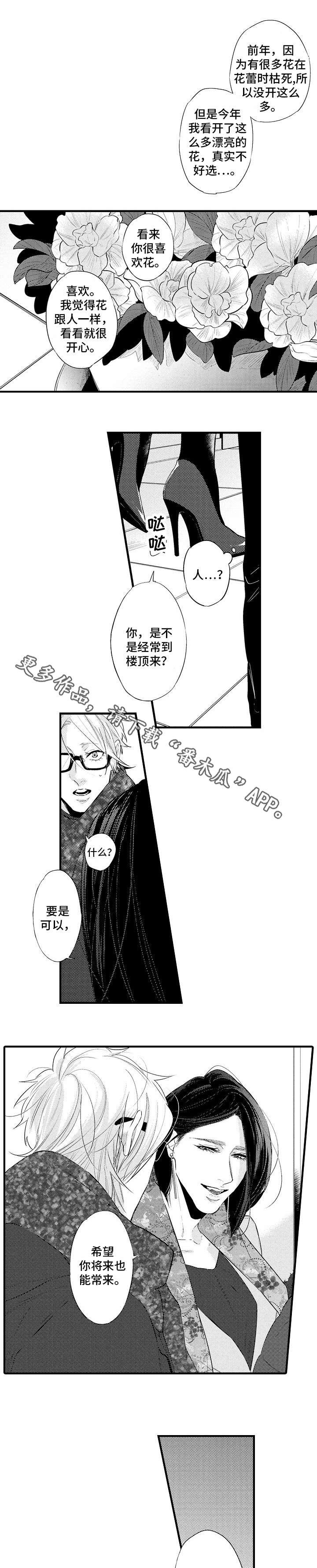 第19章：礼物