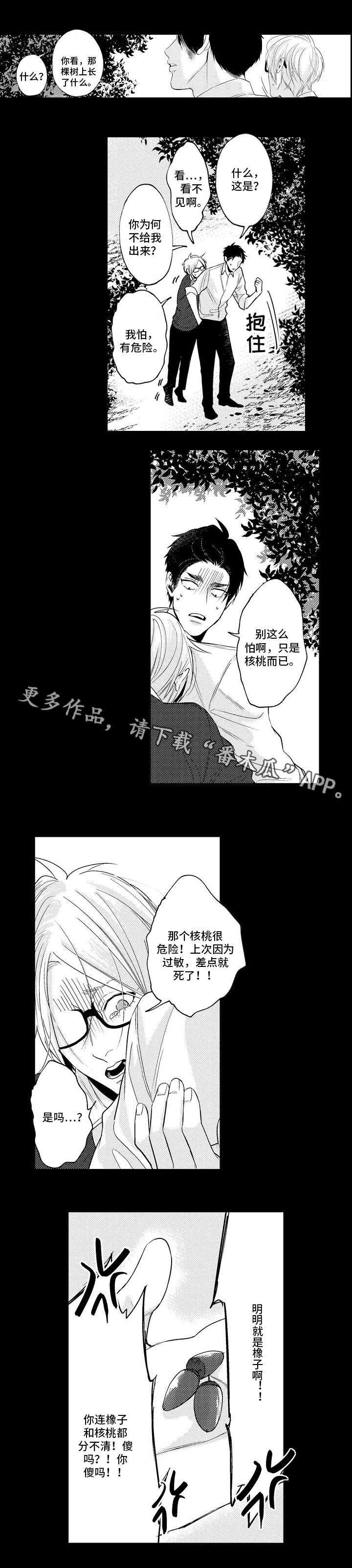 第25章：信息素