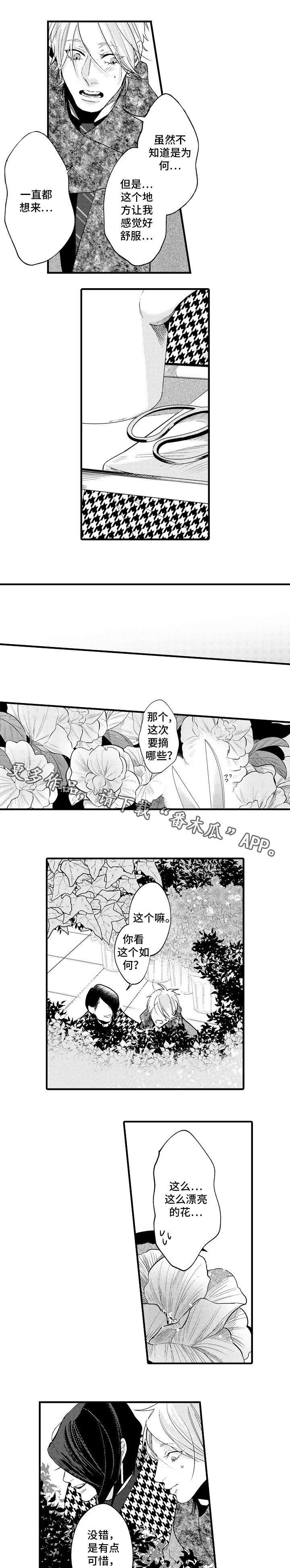 第28章：开心的原因