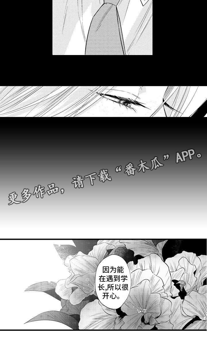 第28章：开心的原因