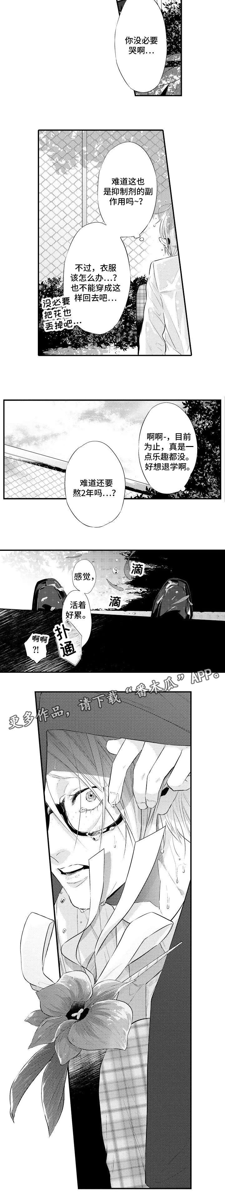 第3章：烦人