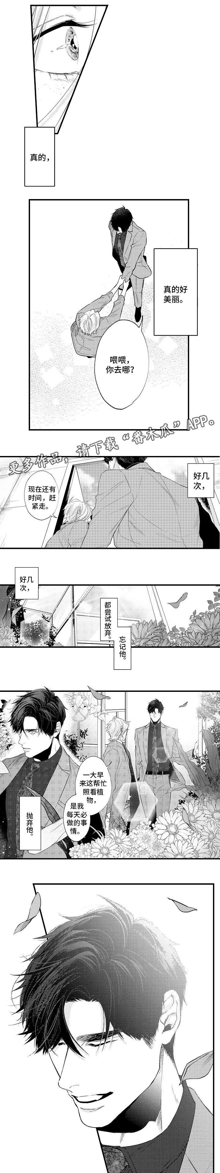 第31章：永远在身边（完结）