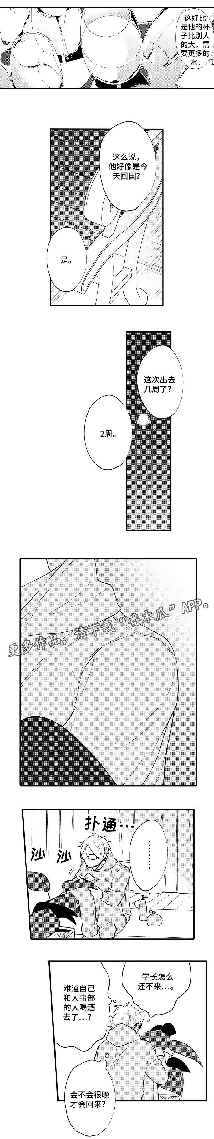 第32章：番外