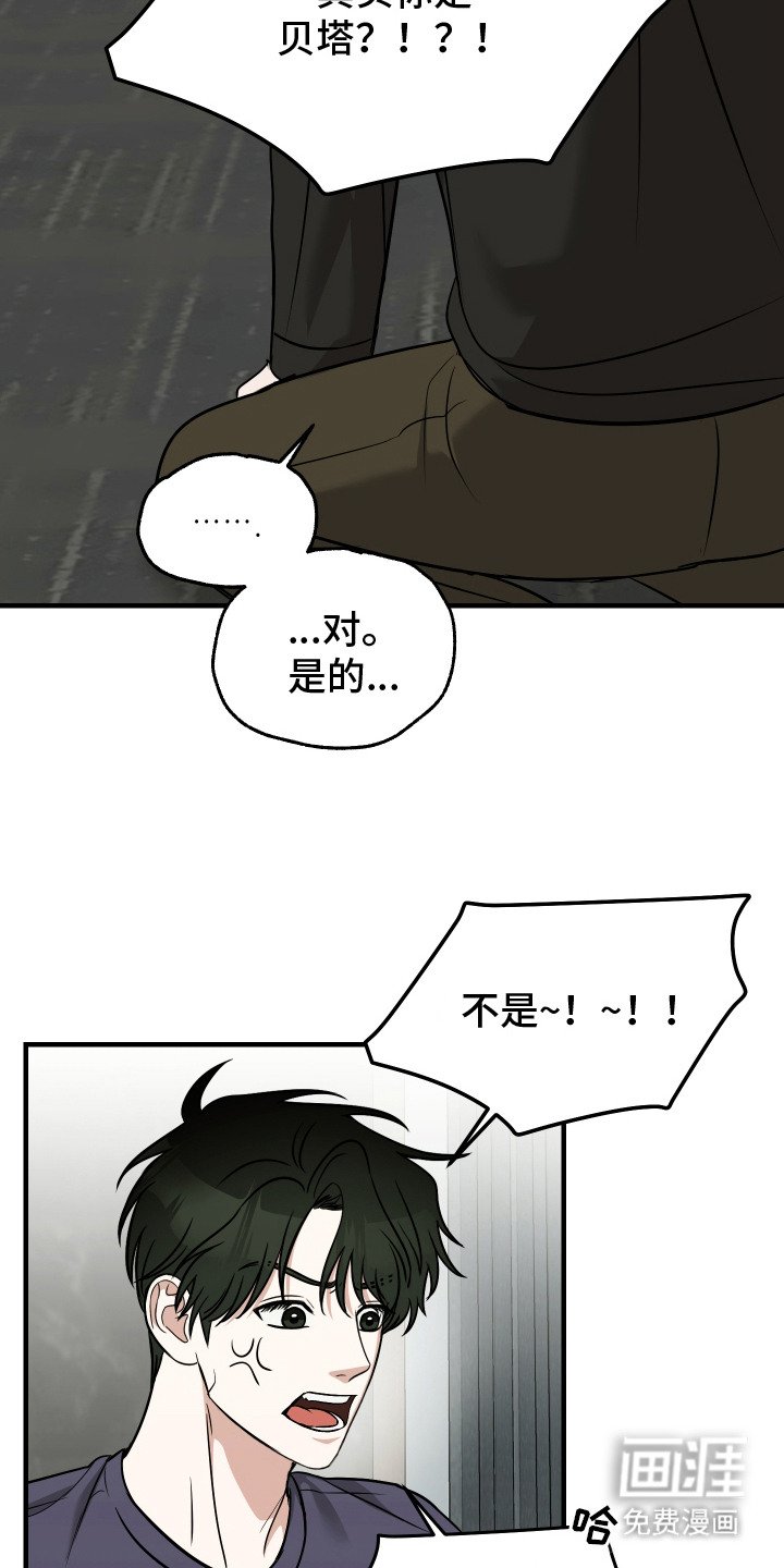 第12章：解释