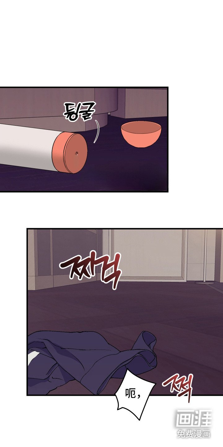 第3章：高贵血统