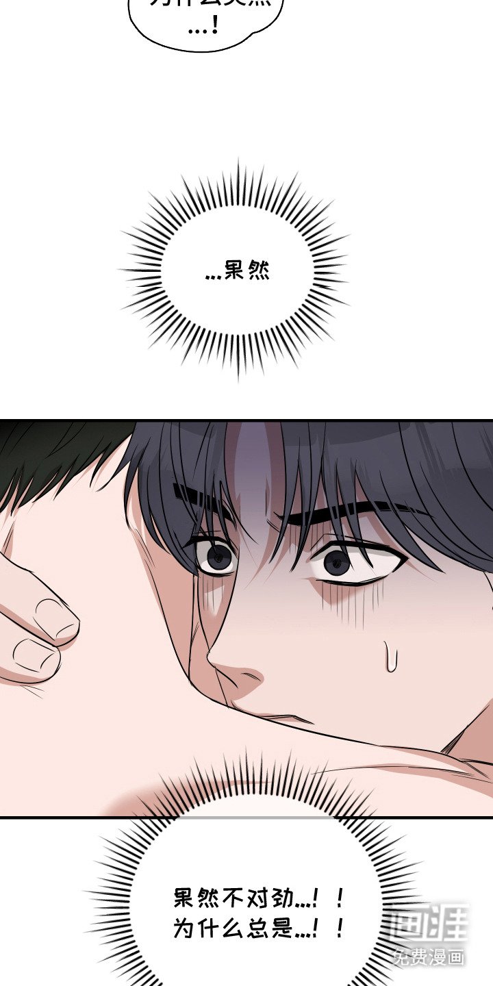 第3章：高贵血统