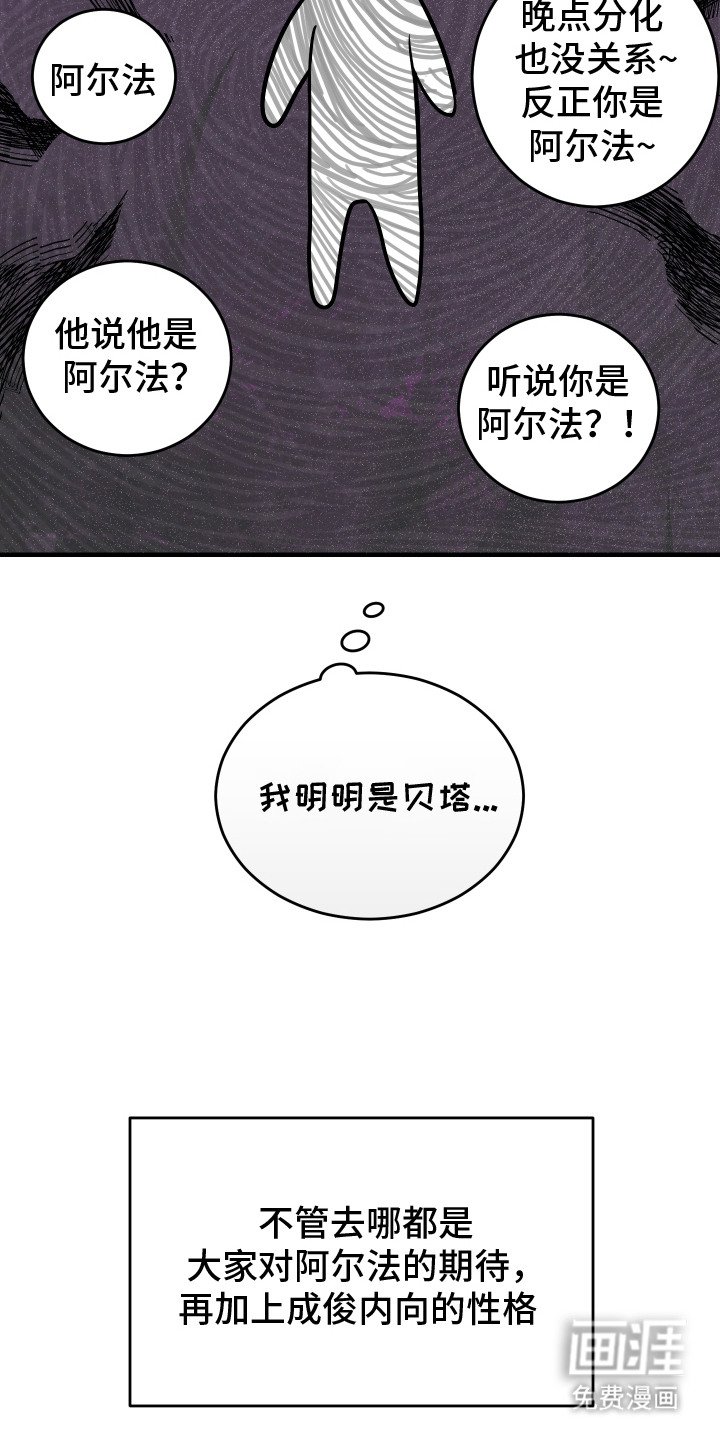 第3章：高贵血统