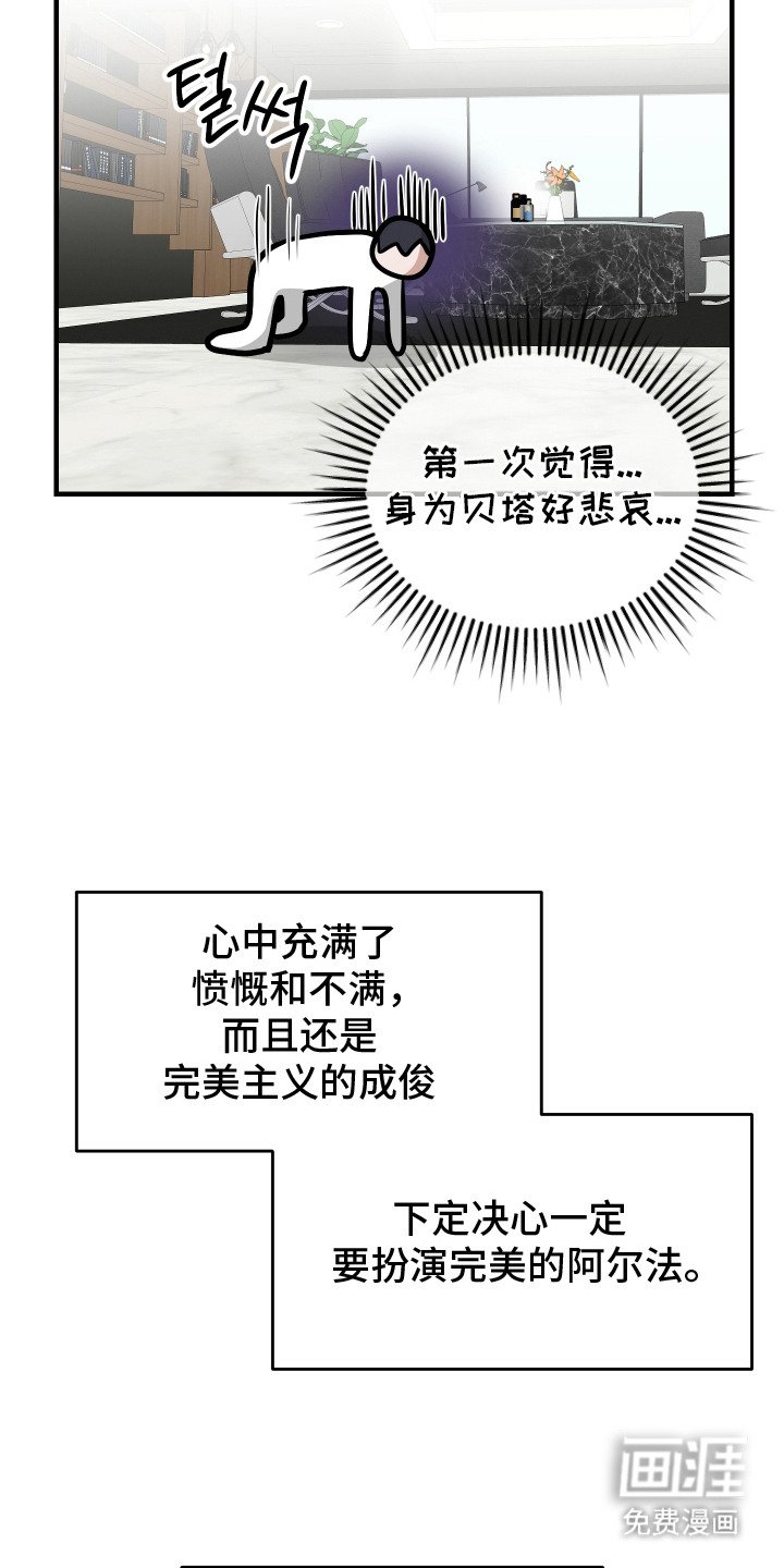 第4章： 自负心