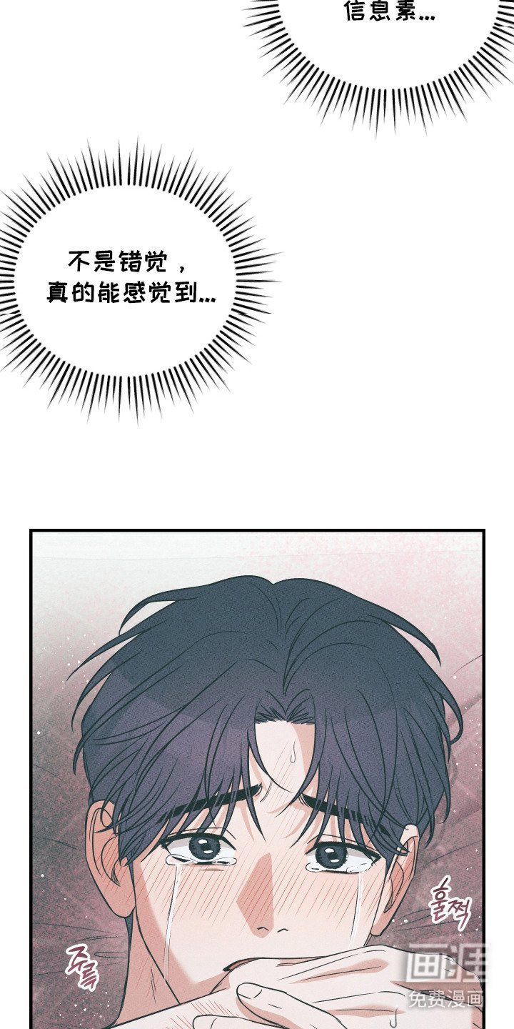 第5章：毫不客套