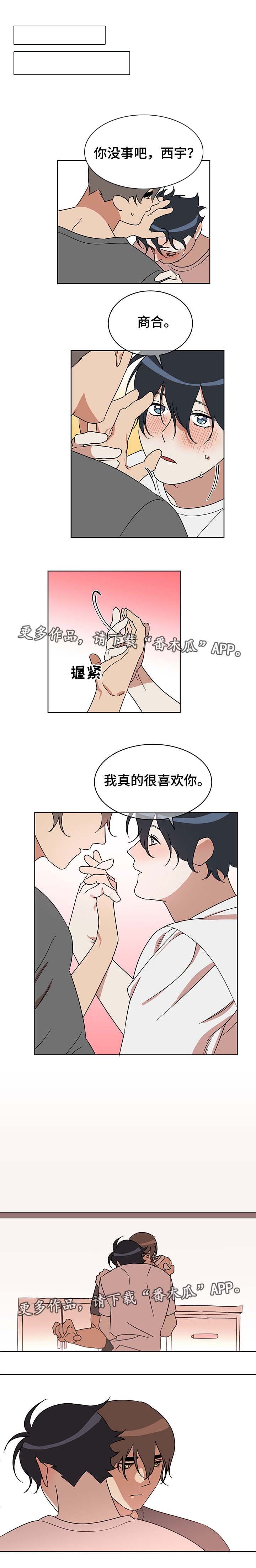 第12章：何去何从