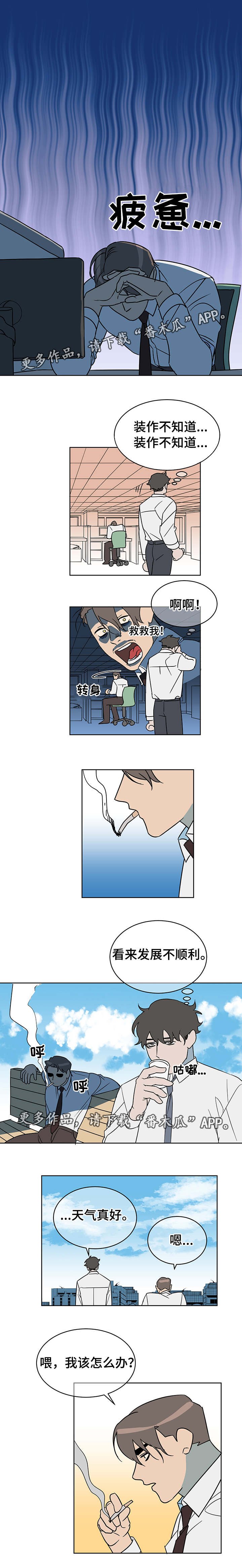第12章：何去何从