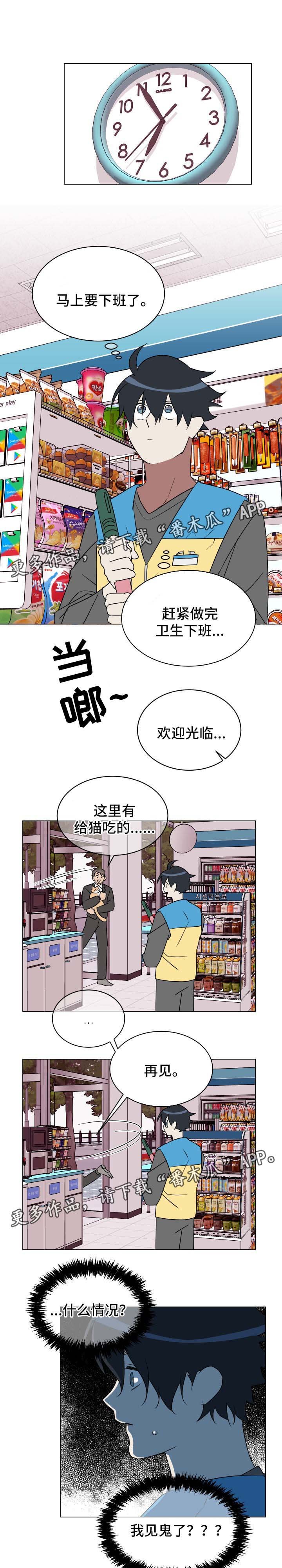 第30章：喂猫
