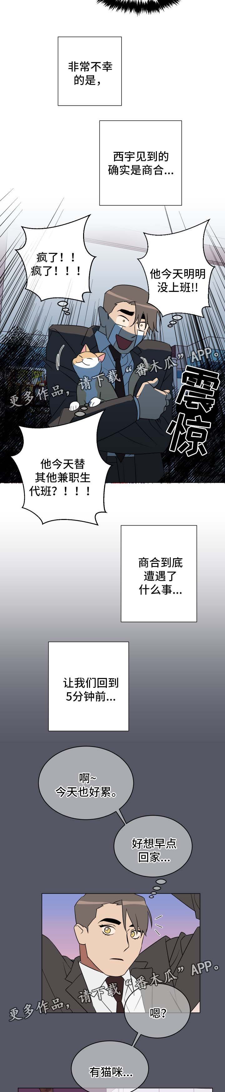 第30章：喂猫