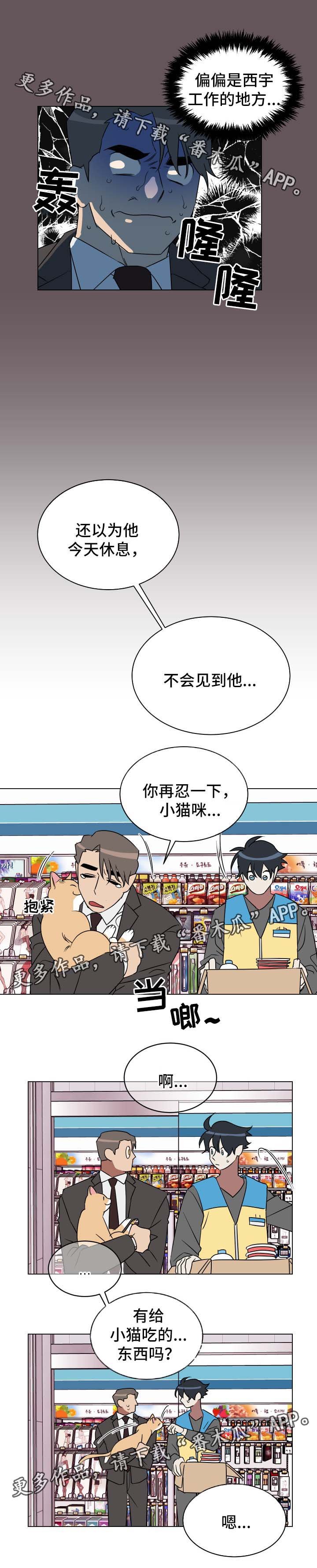 第30章：喂猫