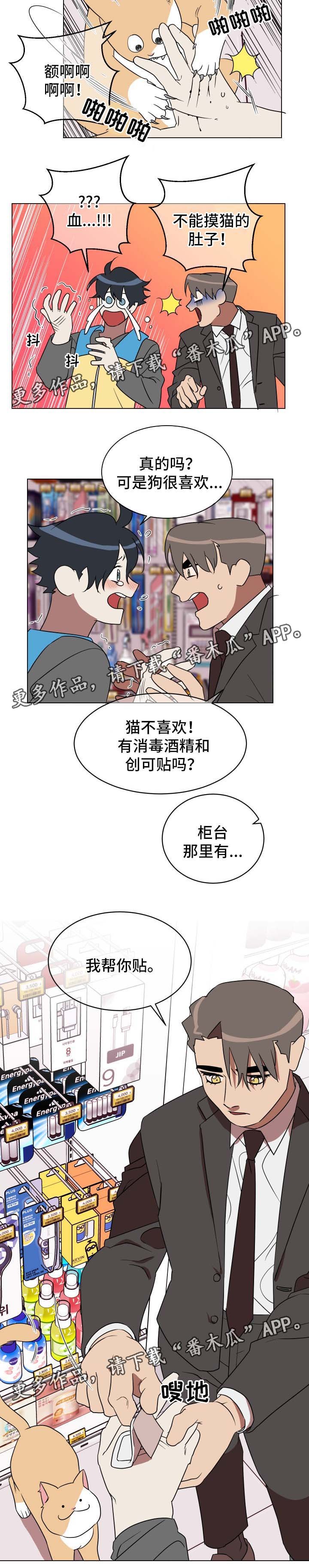 第30章：喂猫