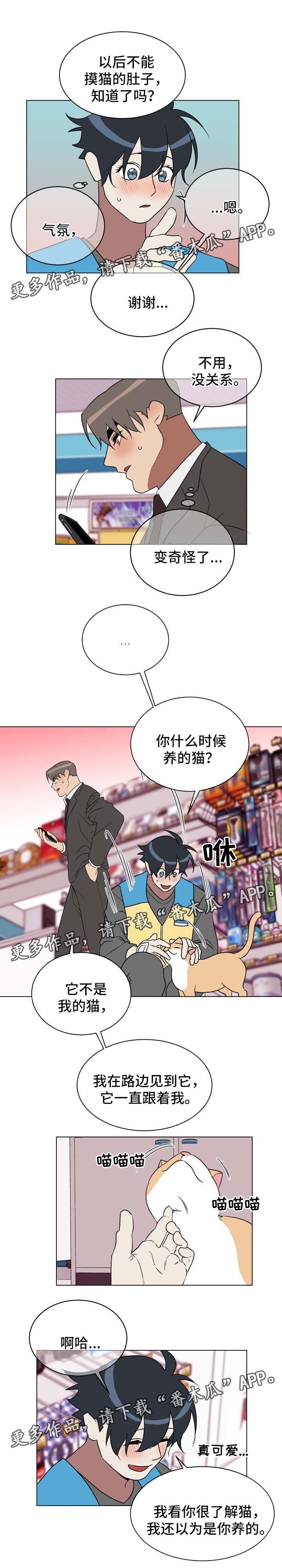 第31章：有意思