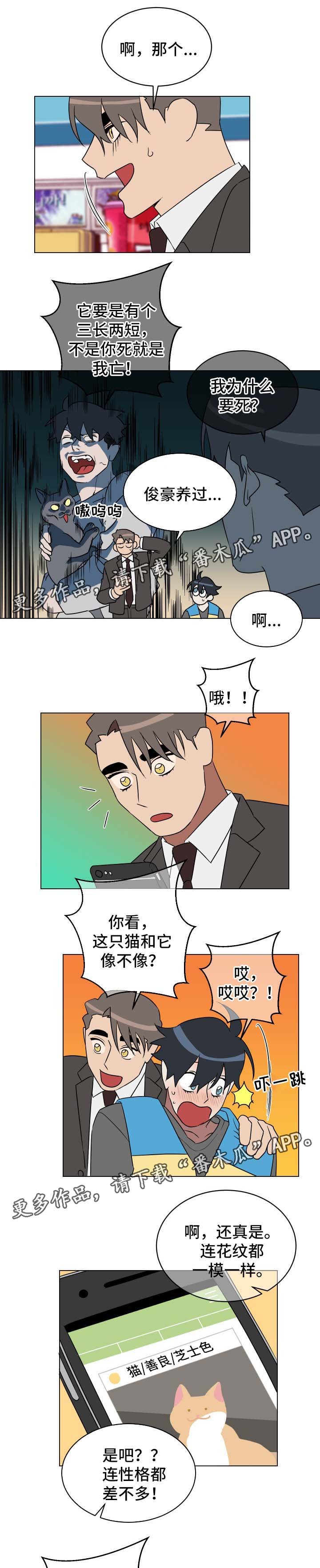 第31章：有意思