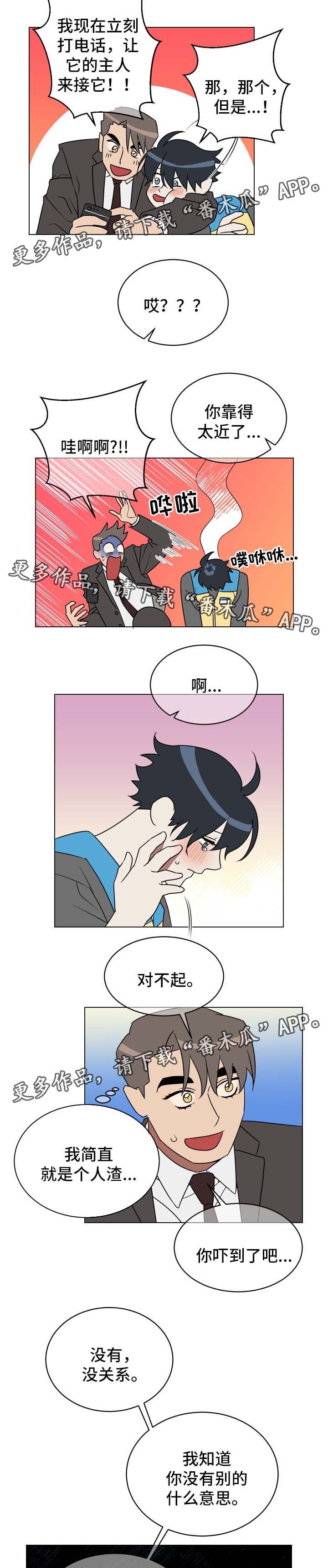 第31章：有意思