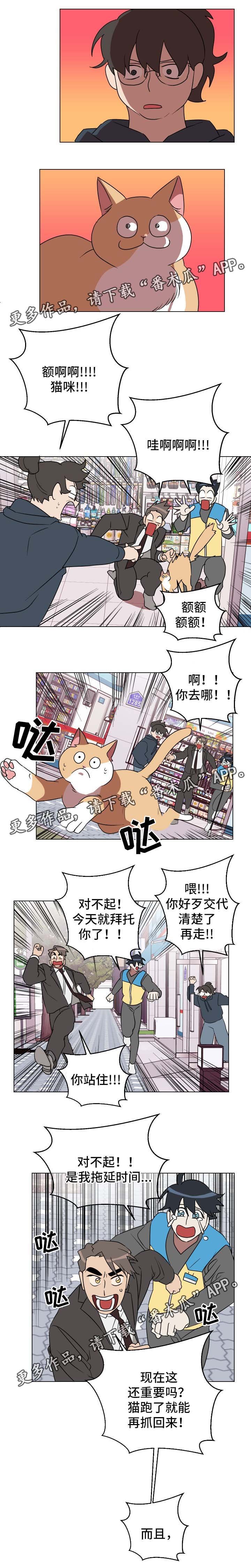 第31章：有意思