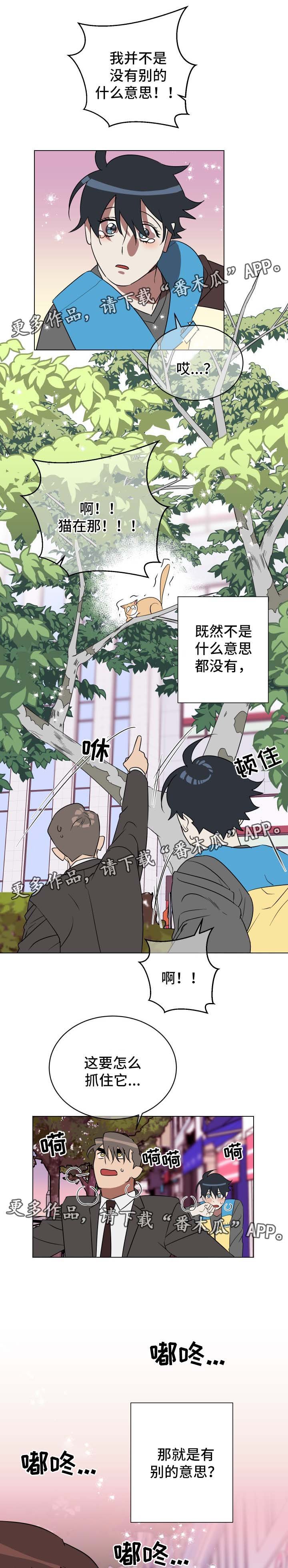 第31章：有意思