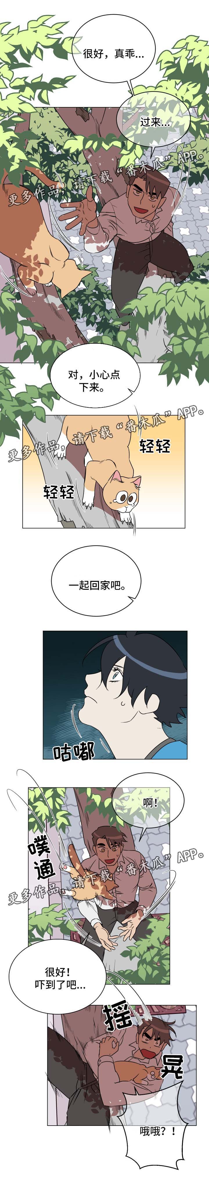 第32章：救猫