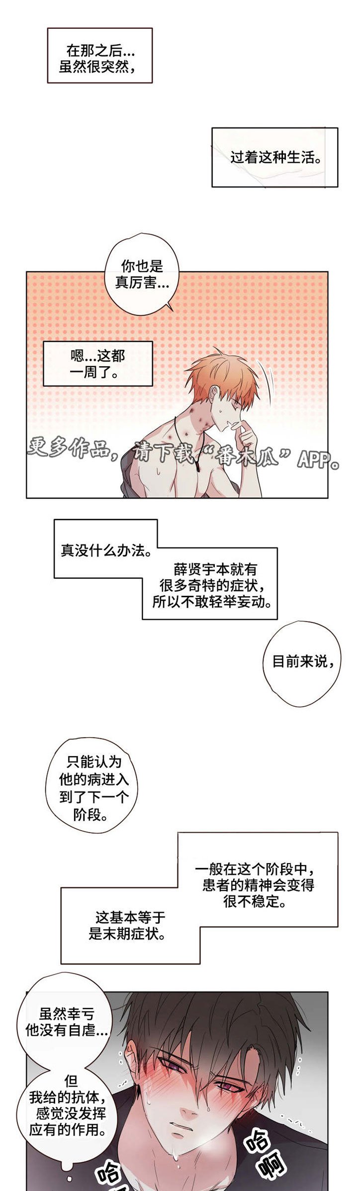 第17章：依赖