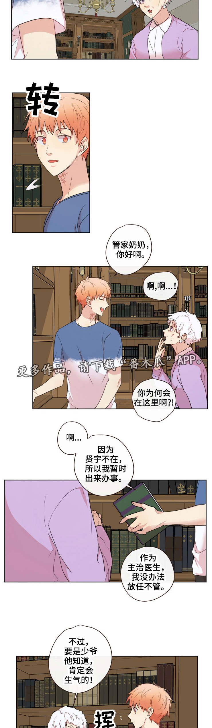 第19章：照片