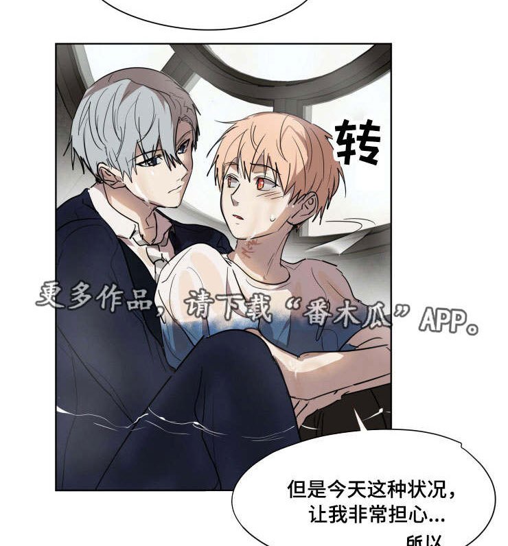 第26章：了解