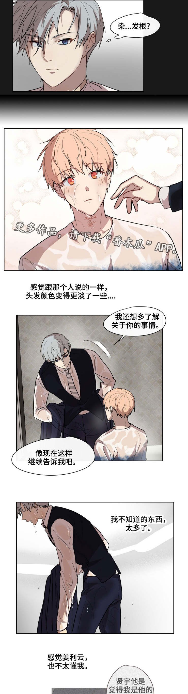 第26章：了解