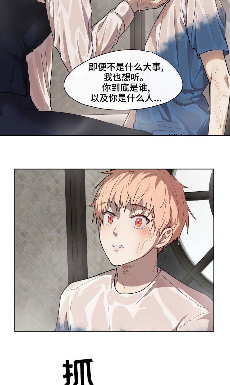 第26章：了解